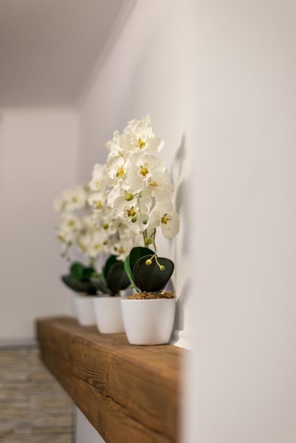 Orchideen Apartment Филлах Экстерьер фото